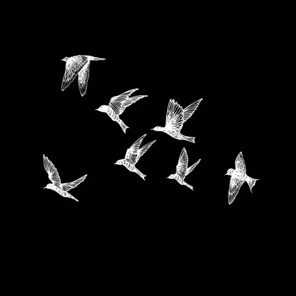 Handgezeichnete Streicheleinheiten Vögel Herde Zeichnungsskizze Auf Schwarzem Hintergrund Inspirierende Body — Stockvektor