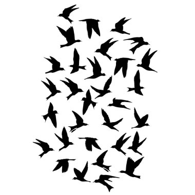 Beyaz arka plan üzerinde uçan kuş siluet. İlham verici vücut flash dövme mürekkebi. Vektör.