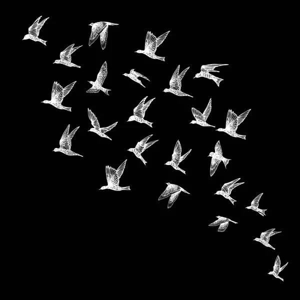 手描きのストローク鳥の群れ 図面スケッチ 黒の背景 心に強く訴える体フラッシュ タトゥー インク ベクトル — ストックベクタ