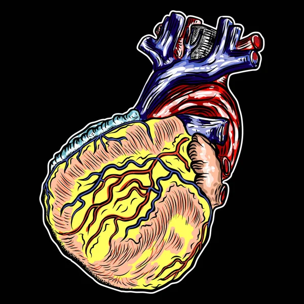 Ludzkie Serce Anatomicznie Wyciągnąć Rękę Kreskówkowe Flash Tattoo Design Grawerowanie — Wektor stockowy