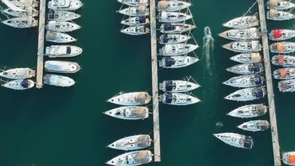 Légi Felvétel Yacht Club Marina Horvátország Split Öbölre Kis Hajó — Stock videók