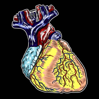 İnsan anatomisi kalp. Siyah ve arka plan üzerinde izole renk oyma. Karikatürize flash dövme tasarım vektör. 