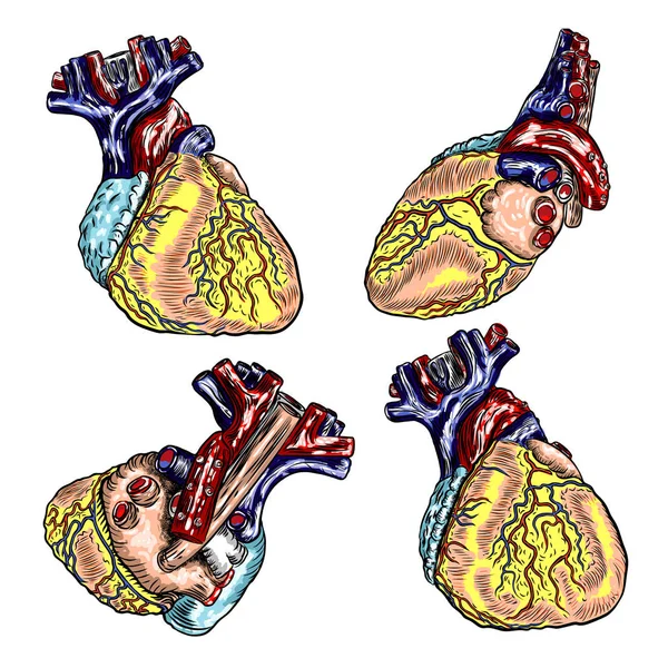 一套人类心脏解剖手绘 卡通闪光纹身设计雕刻 — 图库矢量图片
