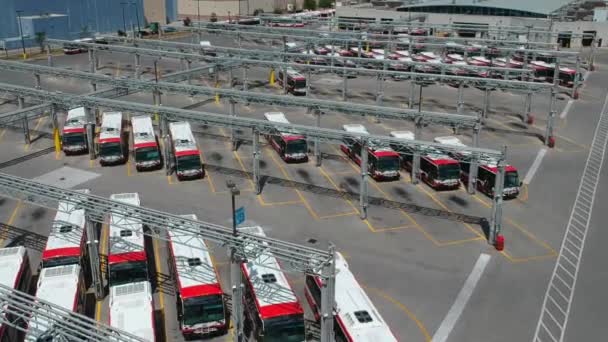 Toronto Canadá Julio 2018 Estacionamiento Nuevos Buses Ttc Operados Por — Vídeos de Stock