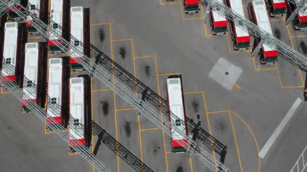 トロント カナダ 7月17 2018 トロント交通委員会が運営する新しいTtcバスの駐車場 市内の公共交通機関のバスは 特別なガレージエリアに駐車しました バス停空中鳥の目のビュー — ストック動画