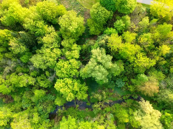 Letecký Pohled Slunečný Den Krásný Park Odpočinku Rekreace Obce Stromů — Stock fotografie