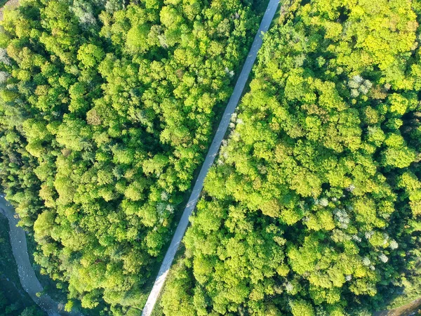Letecký Pohled Shora Venkovské Silnici Lesem Zelená Jedle Javor Létě — Stock fotografie