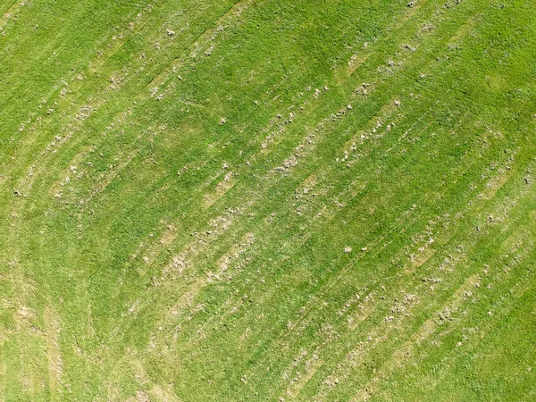 Groen Gras Textuur Luchtfoto Groen Gazon Gras Voetbal Voetbal Veld — Stockfoto