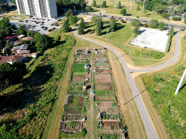 Urban Gardening Stadt Verstädterten Gemüsegarten Luftaufnahme Wachsend Anbau Von Gemüse — Stockfoto