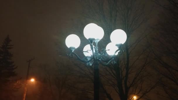 Lâmpada Rua Inverno Noturno Lanterna Decorativa Expondo Extrema Queda Neve — Vídeo de Stock