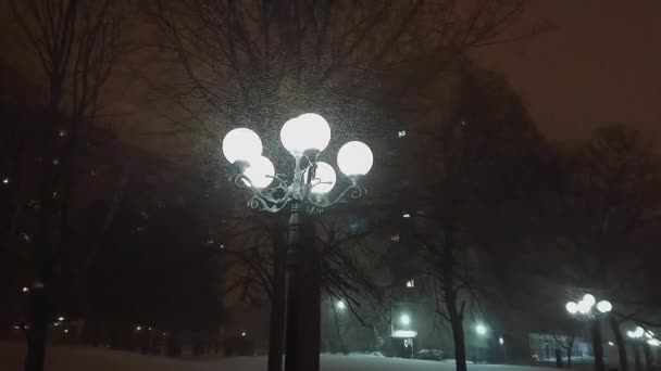 Sneeuw Vallen Een Straat Lamp Tijdens Een Winter Storm Pannen — Stockvideo