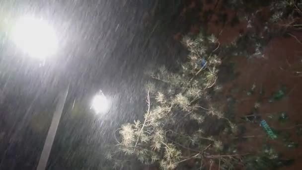 Ночная Зимняя Уличная Лампа Фонарь Сильным Порывом Ветра Падающим Снегом — стоковое видео