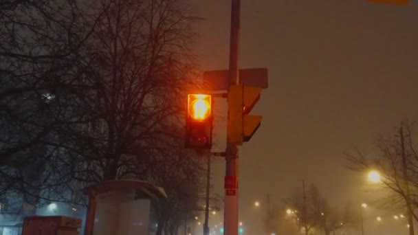 Toronto Ontario Canada January 2019 Snow Storm Smartphone Slowly Panning — Stock Video