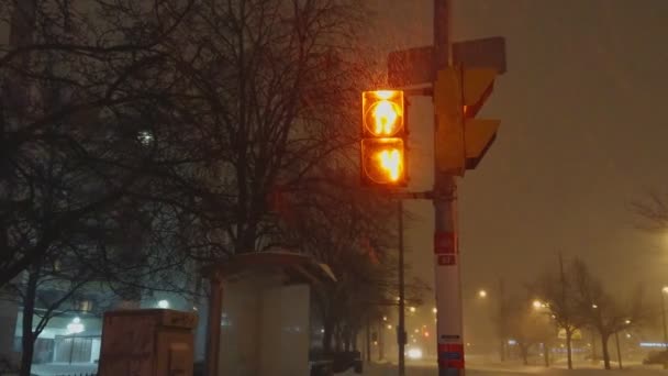 Toronto Ontário Canadá Janeiro 2019 Scarborough East Toronto Snow Storm — Vídeo de Stock