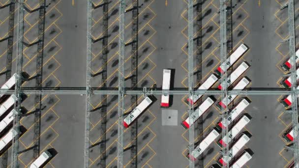 Toronto Canadá Julho 2018 Estacionamento Ttc Buses Operado Pela Toronto — Vídeo de Stock