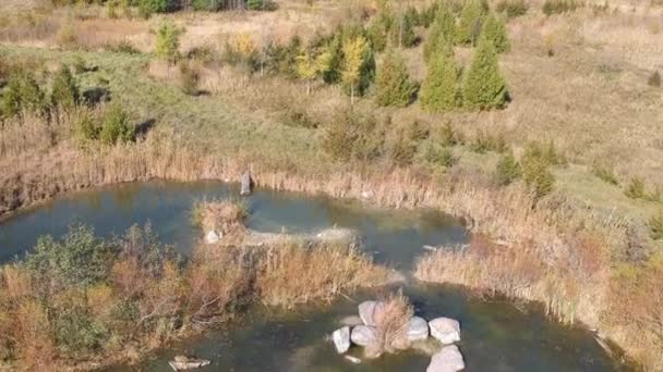 Kleine Wasserseen Grünen Sommerwald Mit Verschiedenen Bäumen Luftaufnahme Von Zufällig — Stockvideo