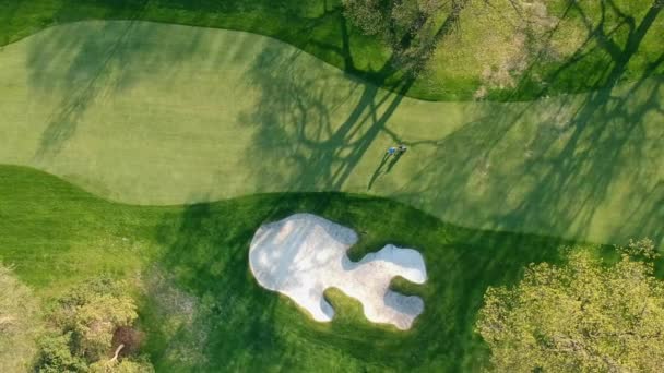 Golf Course Lonely Walking Player Eye Bird View Sky Aerial — Stock Video