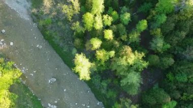 Hava kırsal manzara içinde güzel bir yeşil orman üzerinde uçan. Amerika.