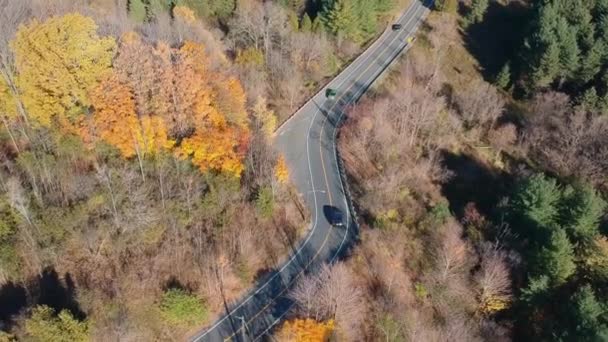 Top View Asphalt Road Passing Cars Forest American Fall Season — Stock Video