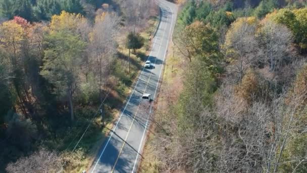 Ovanifrån Asfalt Väg Och Passerar Bilar Skogen Amerikansk Höst Säsongen — Stockvideo