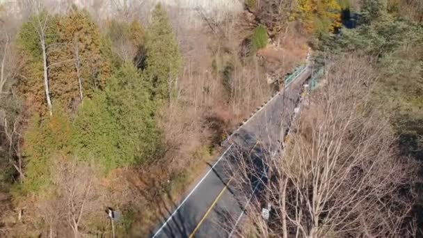 Blick Von Oben Auf Die Leere Asphaltstraße Mitten Wald Amerikanische — Stockvideo