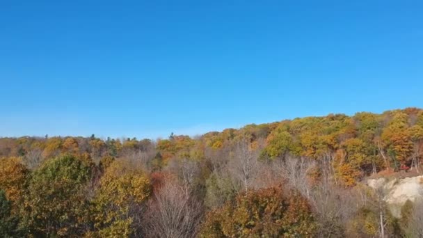 森の色紅葉の眺め ドローンのパン — ストック動画
