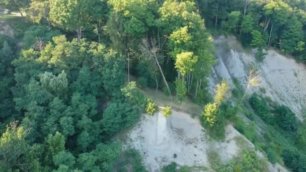 Vista Aerea Volare Sulle Scogliere Della Foresta Scogliere Durante Estate — Video Stock