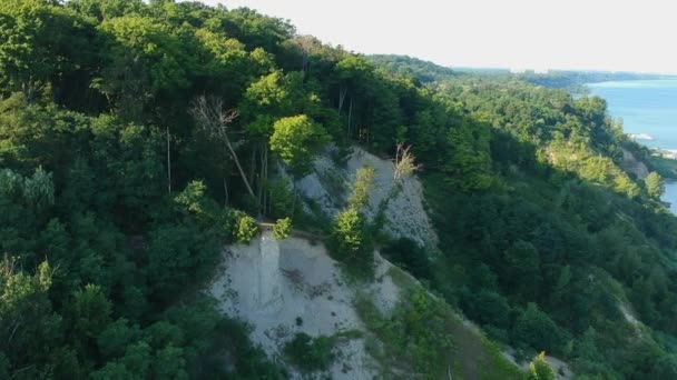 Vue Aérienne Survolant Les Falaises Forestières Été Près Ville Amérique — Video