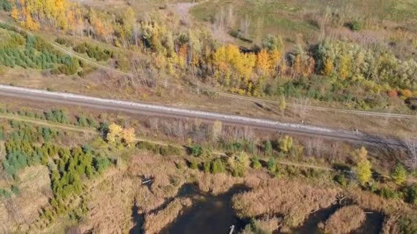 Aerial Flying Stunning Colorful Trees Fall Sunny Day Beautiful Autumn — Stock Video