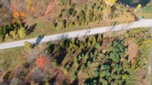 Aerial Drone Footage View Flight Autumn Forests Swamps Meadows Hills — Stock Video