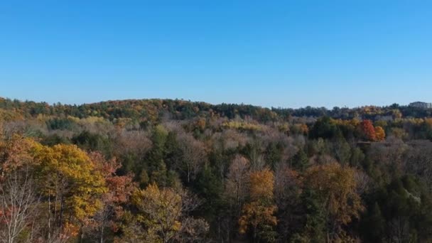 Voar Aéreo Acima Das Árvores Coloridas Deslumbrantes Outono Dia Ensolarado — Vídeo de Stock