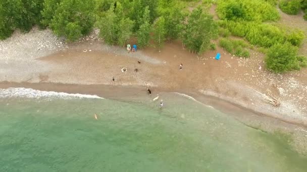 空中飞行在水面上的沙滩海岸上 在海边 有的人散步 享受水附近的平静一天 无人机滑翔过来 — 图库视频影像