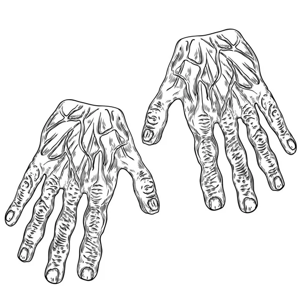 Spaventose mani da mostro zombie, disegnate a mano. Isolato su dorso biancogr — Vettoriale Stock