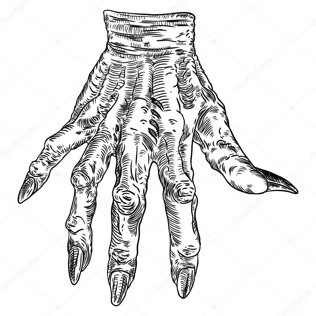 Scary zombie monster hand, hand drawn. Isolated on white backgro