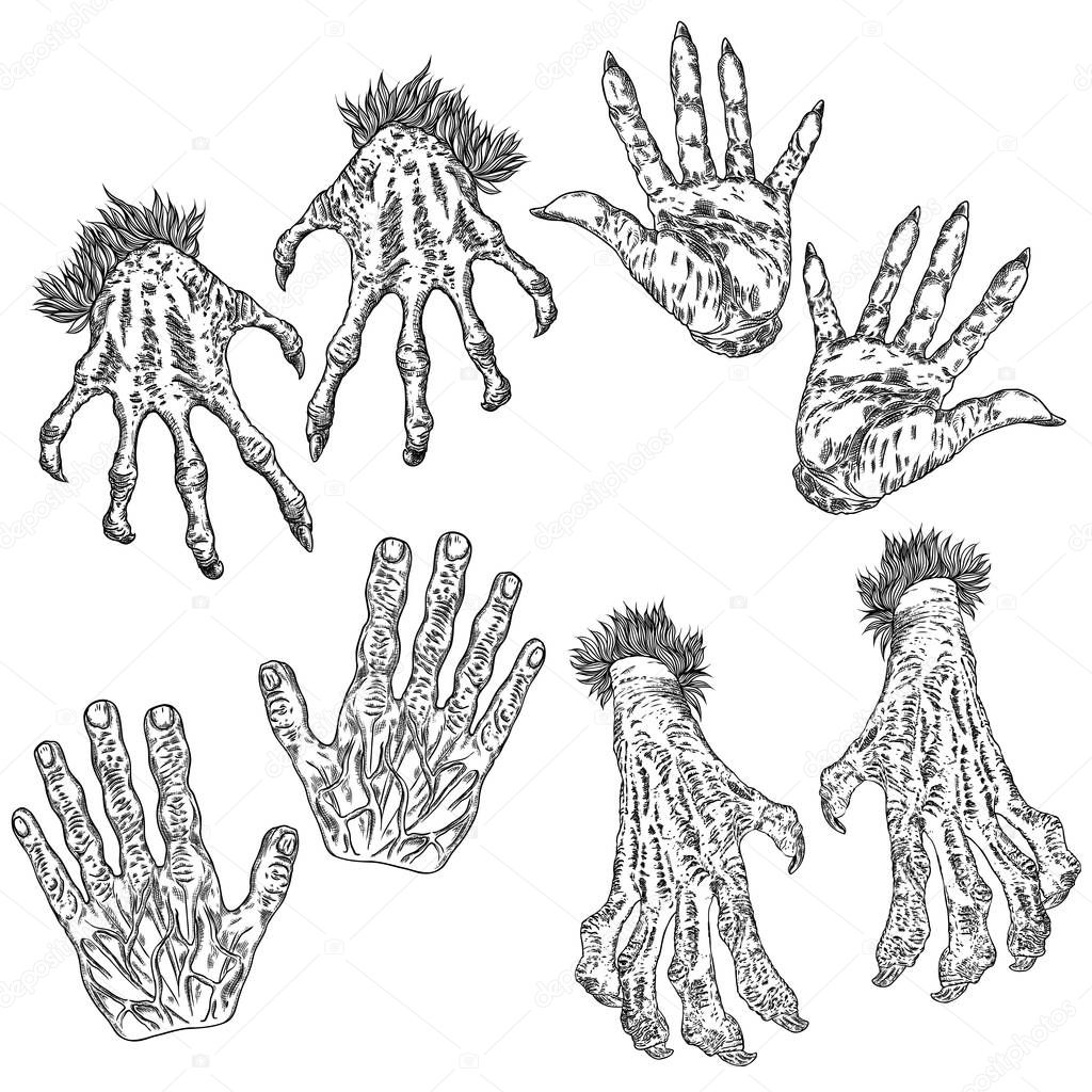 Halloween engraving drawings set of monsters hands, werewolf, wi