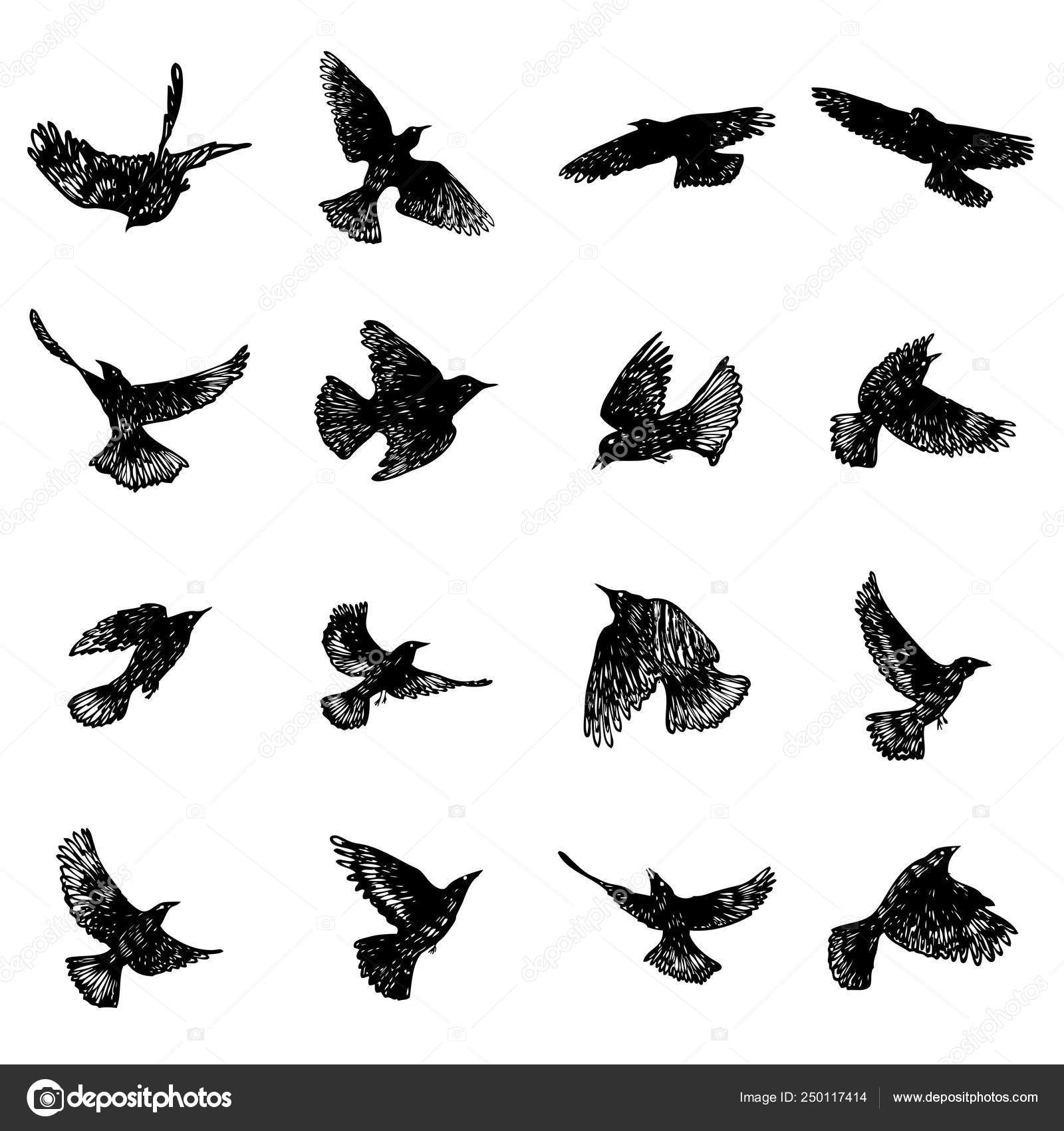 Wonderlijk Set of birds flock. Flying crows birds. Hand drawing. Vector VD-05
