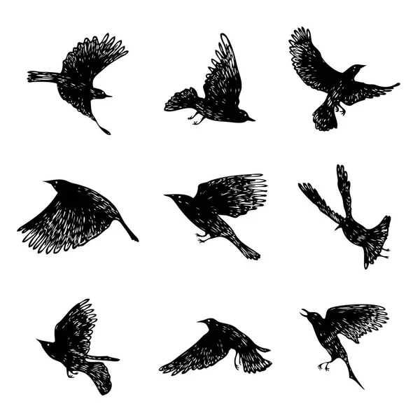 Conjunto de aves acuden. Cuervos voladores pájaros. Dibujo manual. Vector . — Vector de stock