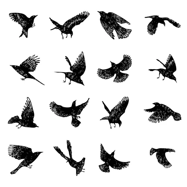 Ensemble d'oiseaux corbeaux noirs, corbeaux dessinés à la main troupeau. Dessin croquis — Image vectorielle