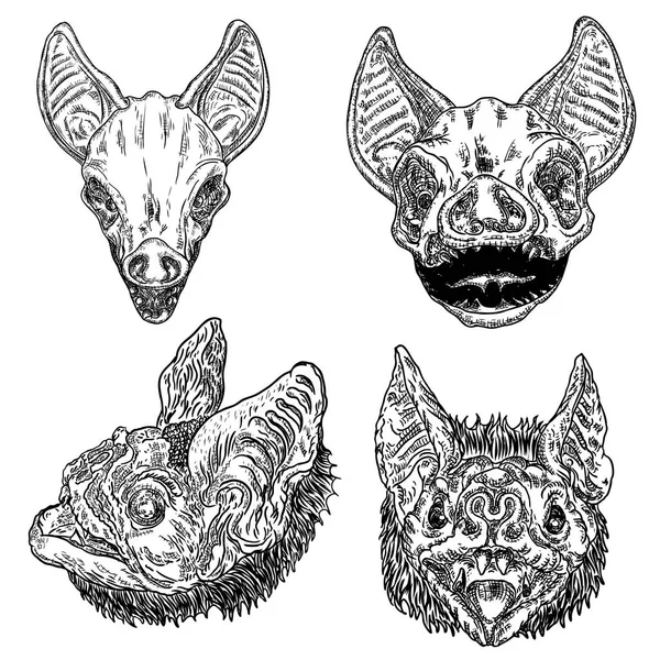 Ensemble de têtes ou de visages de chauve-souris, magie de la sorcellerie, attributs occultes — Image vectorielle