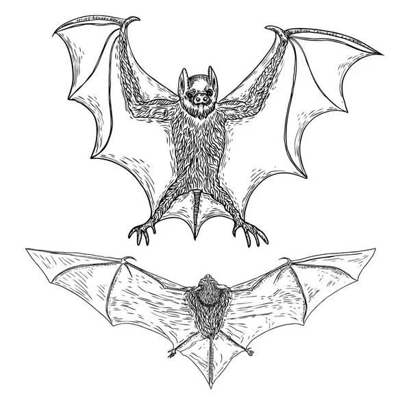Sada agresivní létající netopýři s otevřenými křídly kreslení. — Stockový vektor