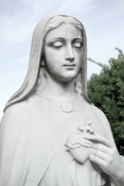 Hart van de Maagd Maria. Onbevlekt hart van Saint Mary onze dame. B — Stockfoto