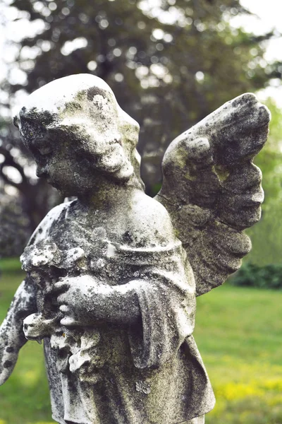 Santo anjo Cristianismo símbolo religioso. Anjo da guarda com wi — Fotografia de Stock