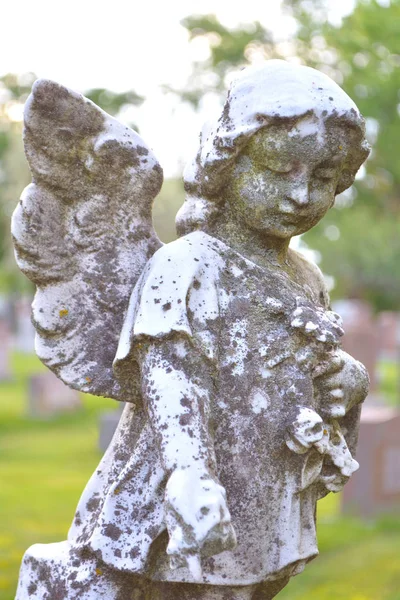 Trauriger Engel auf dem Friedhof gegen Bäume und Blätter — Stockfoto