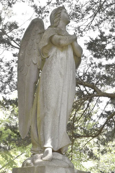Nézd a szobor egy angyal lombozat sötét háttér. Dram — Stock Fotó