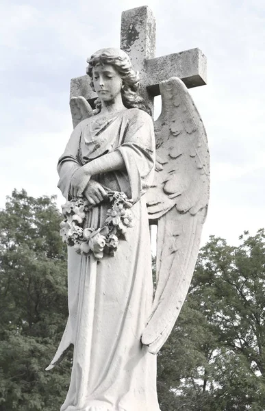 Вид на статую ангела на тлі темного листя. Драм — стокове фото