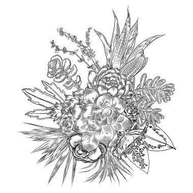 Sulu, kaktüs, yeşil bitkiler, botanik drawi bileşimi