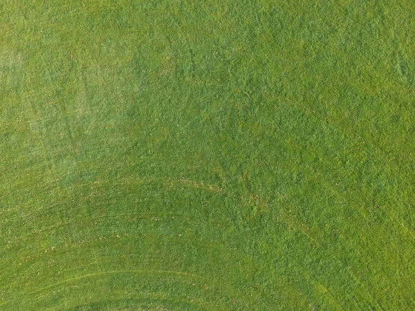 Vista aérea de um grande pedaço de grama verde recém-cortada e saudável — Fotografia de Stock
