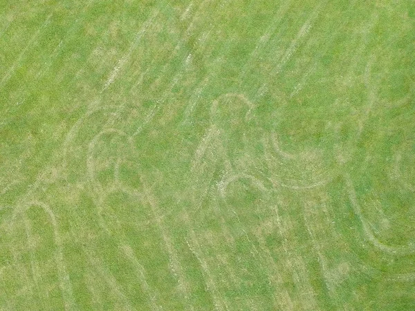 Textura de grama verde. Grama de gramado verde aérea. Futebol ou futebol — Fotografia de Stock