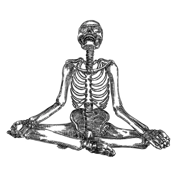 Esqueleto humano en meditación de yoga o posición de loto con cráneo t — Vector de stock