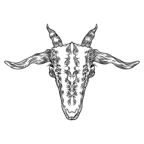 Kambing atau domba kepala hewan ternak dengan tanduk. Sketsa hitam dan putih - Stok Vektor